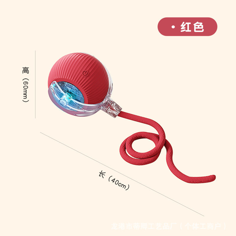Pawscube pet interactive ball self-entertainment artifact